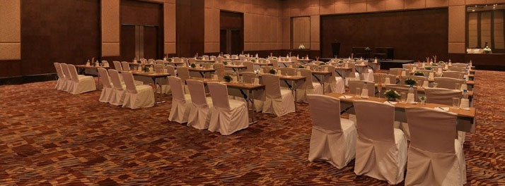 90/Radisson Blu - Agra 04.jpg